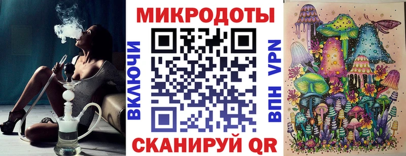 Галлюциногенные грибы Psilocybine cubensis  Нелидово 